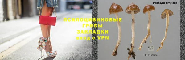 a pvp Богородск