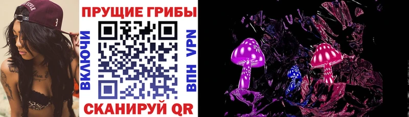 что такое наркотик  Новокубанск  Галлюциногенные грибы мухоморы 