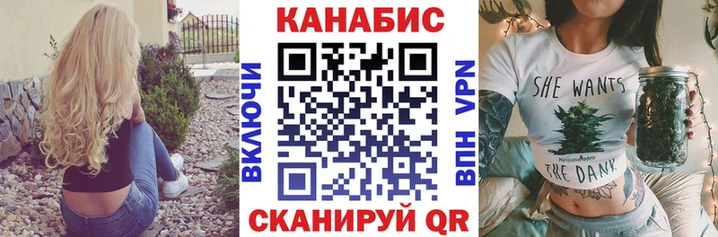 Конопля сатива  OMG ссылки  Новокубанск  купить  цена 